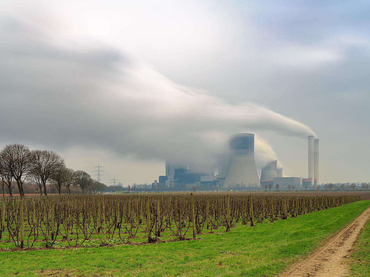 Gerade Frankreich setzt weiter auf Atomkraft © Getty Images