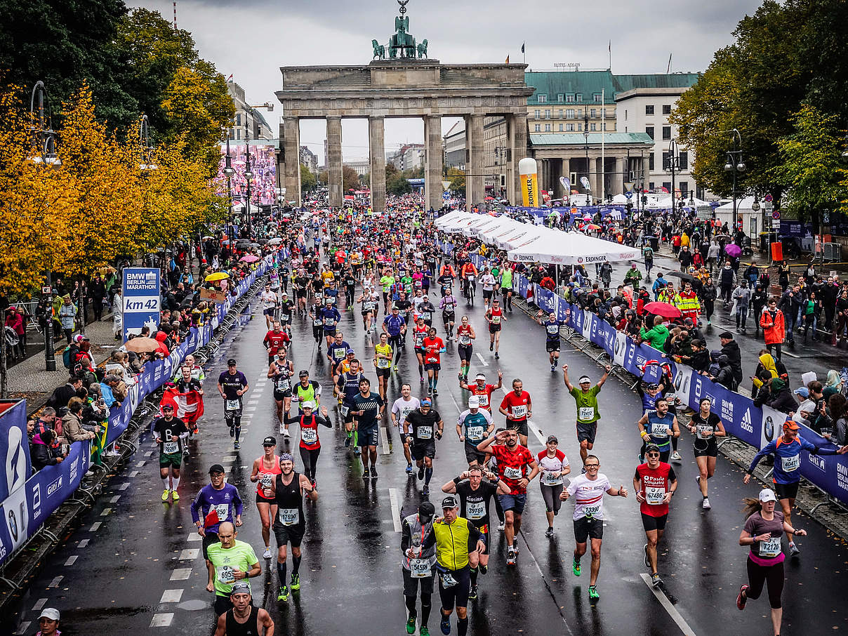 Berlin Marathon Laufen Fur Den Wwf