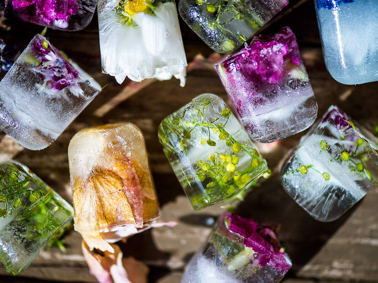 Eiswürfel mit Blüten 