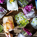 Eiswürfel mit Blüten 