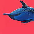 Krypto-Kunst zum Vaquita von Lea Fricke © Lea Fricke