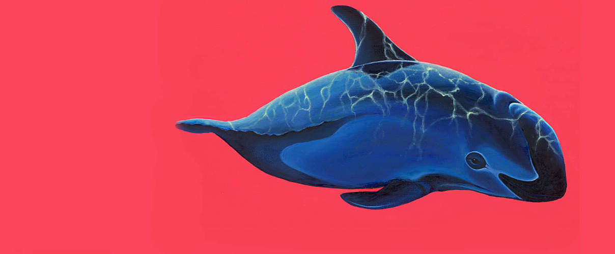 Krypto-Kunst zum Vaquita von Lea Fricke © Lea Fricke