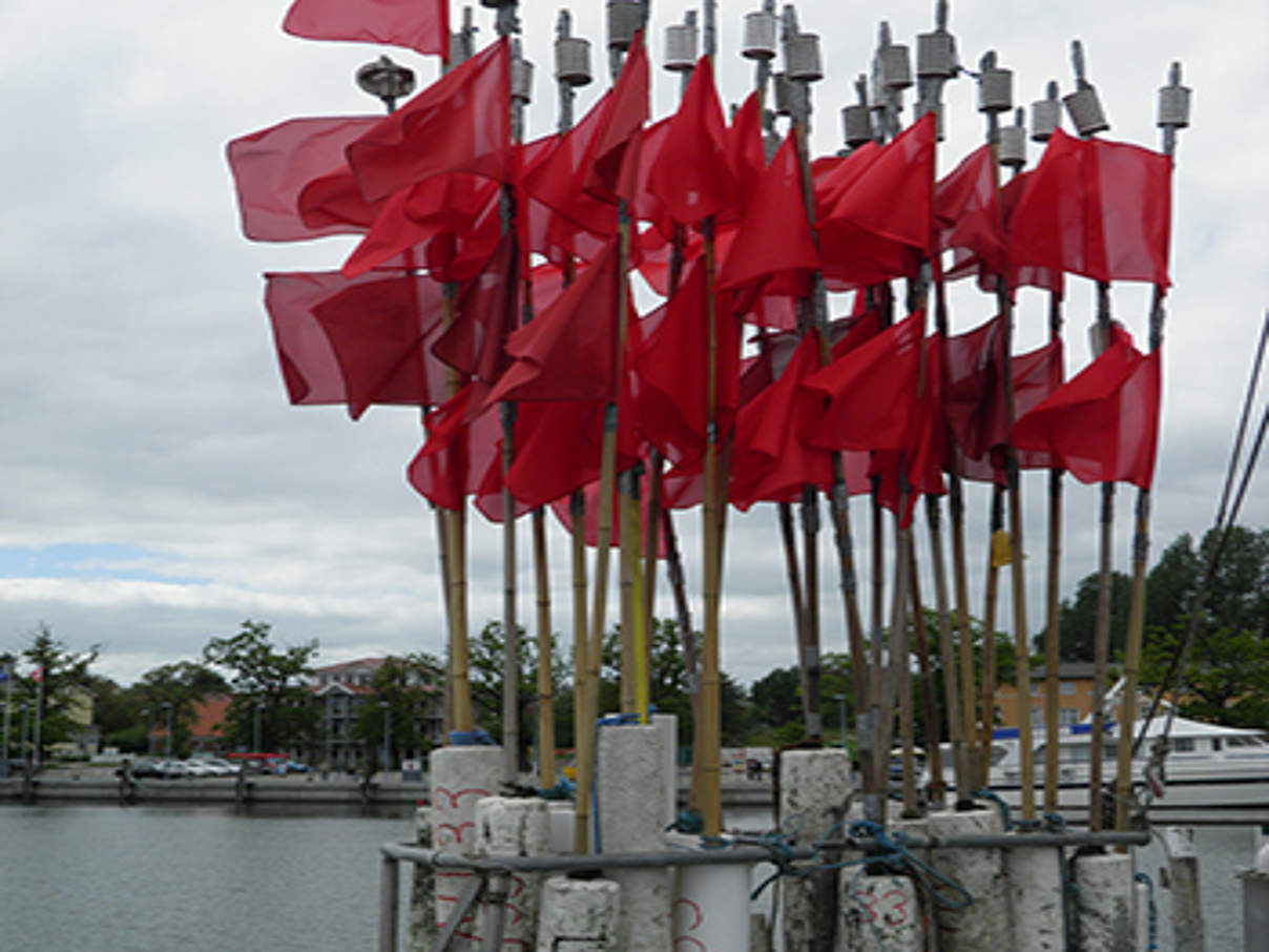 350 Stellnetzfahnen im Hafen c Jochen Lamp WWF Stellnetzfahnen an der Ostsee. © Jochen Lamp / WWF