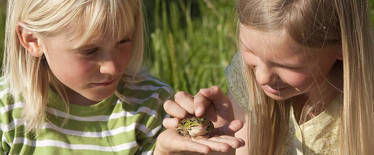 Kinder beobachten einen Frosch auf der Hand