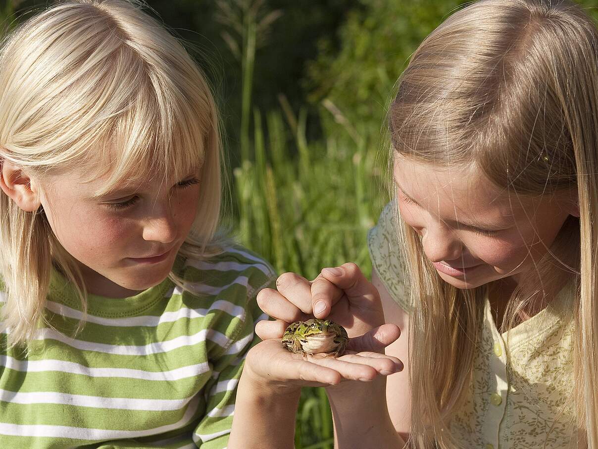 Kinder beobachten einen Frosch auf der Hand