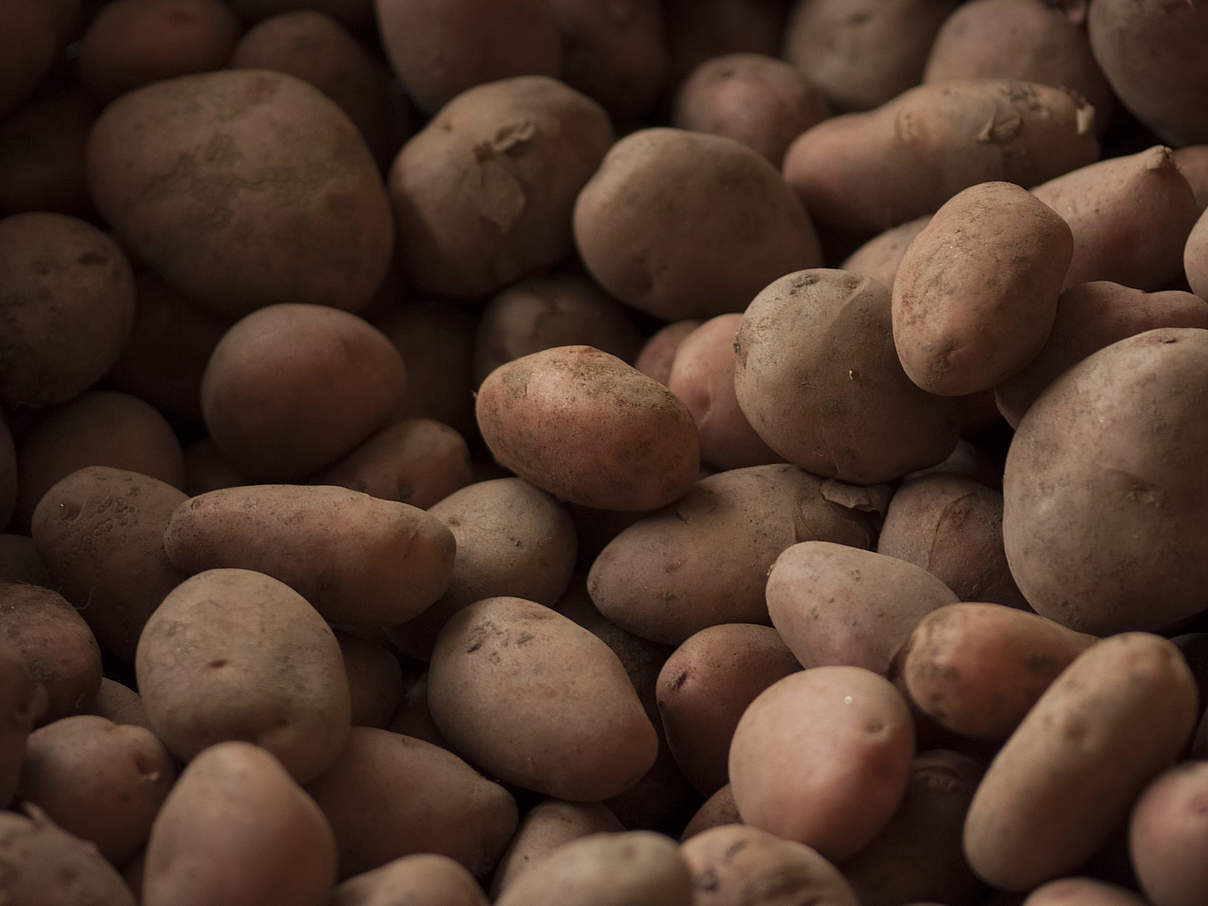 Kartoffeln © Rachel Kramer / WWF-US