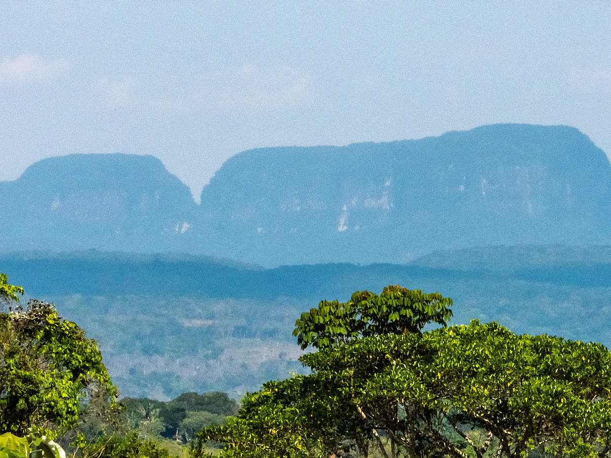 Nationalpark "Serrania de la Mecarena", Meta, Kolumbien © Giovanny Pulido