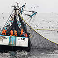 Industrielle Anchoveta-Fischerei in Peru © Adrian Portugal / WWF Peru