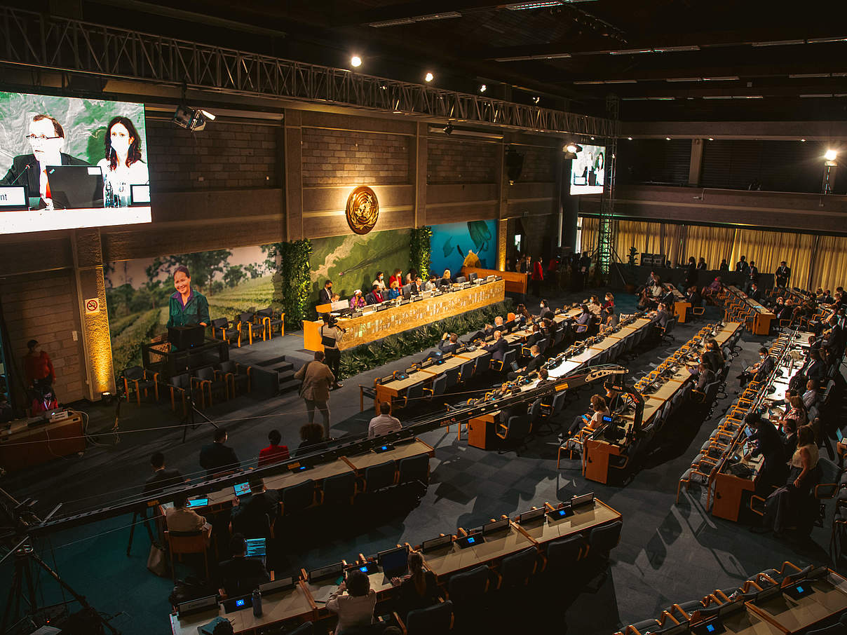 UNEA-Eröffnung © Markus Winkler / WWF