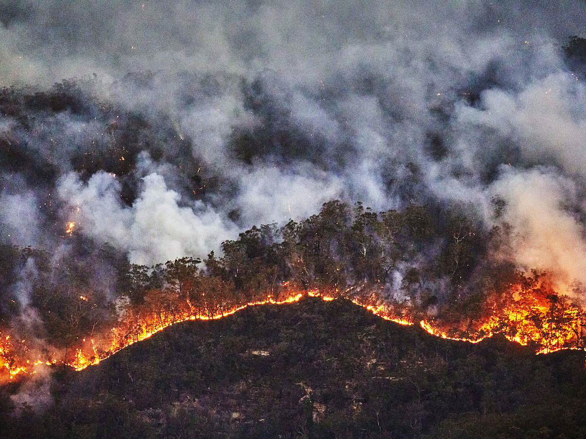 Feuerfront im Jamison Valley © Andrew Merry / Getty / WWF