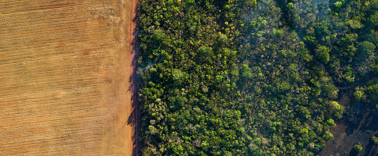 Rodung im Amazonas-Regenwald © Day's Edge Productions / WWF US