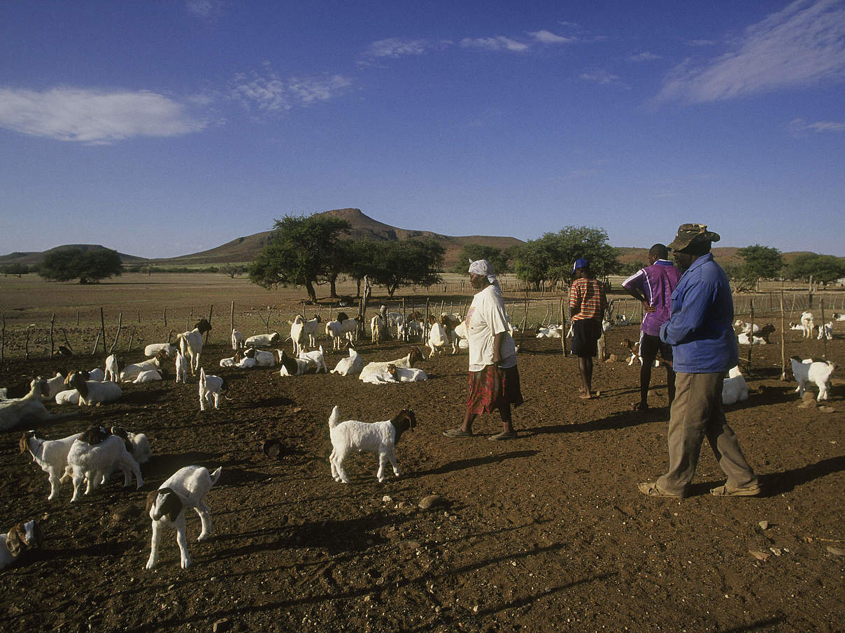 Kleinbauer in Namibia © Edward Parker / WWF