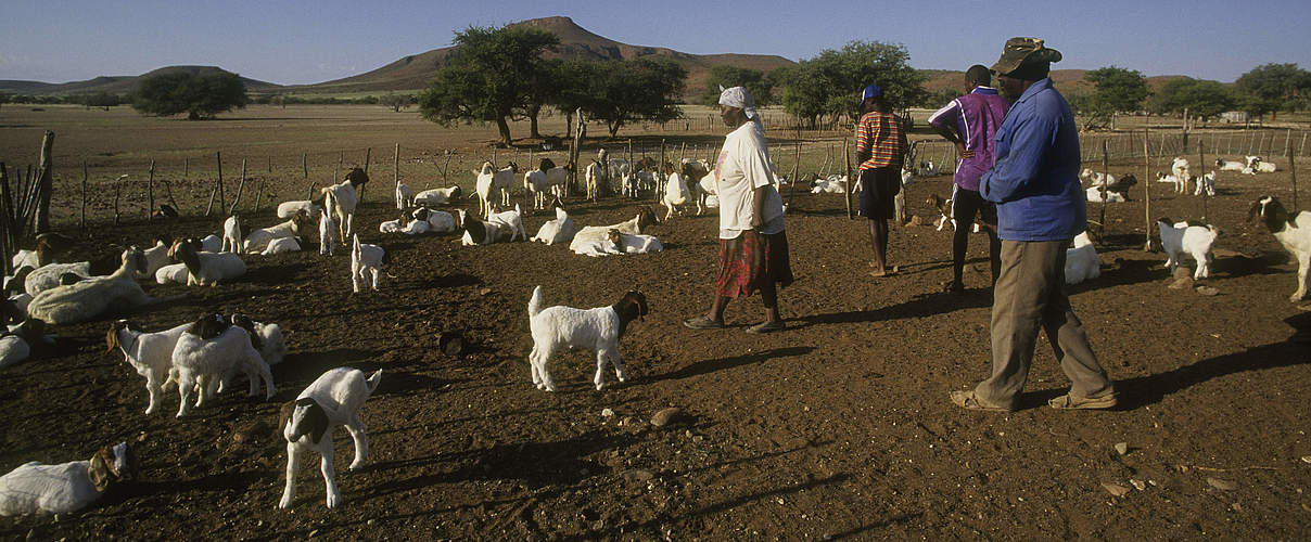 Kleinbauer in Namibia © Edward Parker / WWF