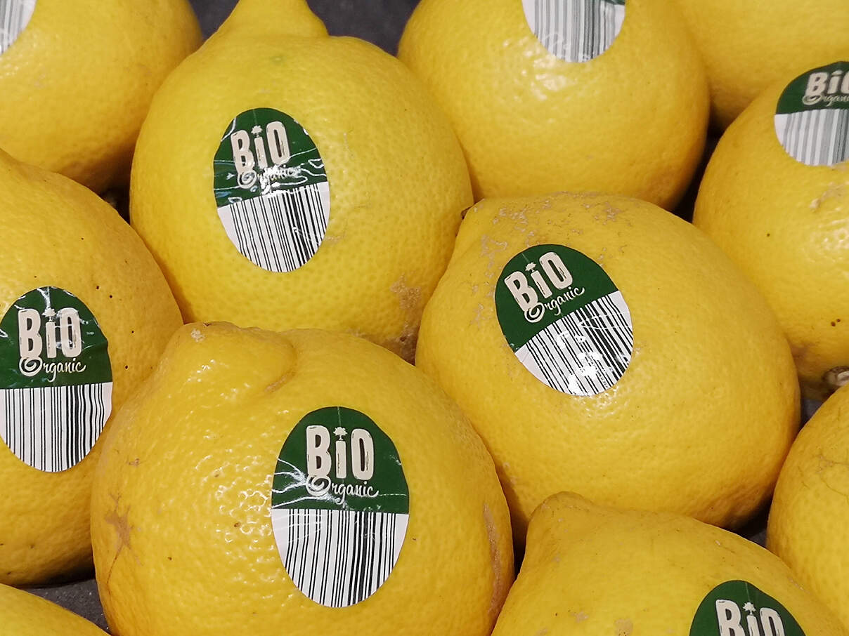 Bio-Zitronen