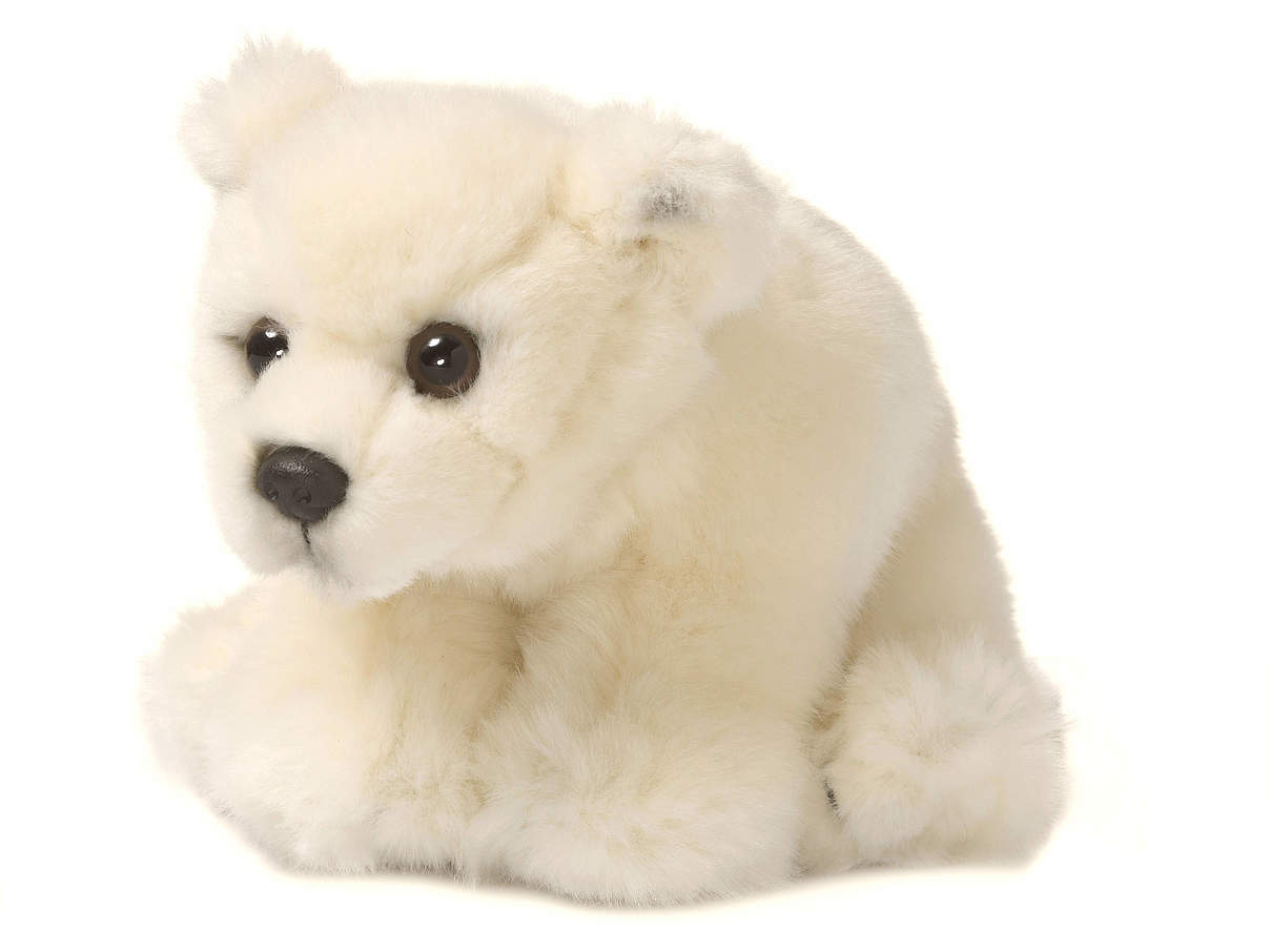 Plüschtier "Eisbär" © WWF Plüschtier "Eisbär" © WWF