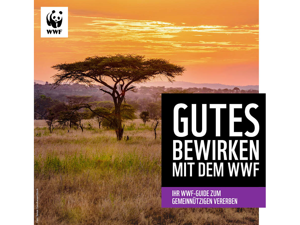 Cover des WWF Guide zum gemeinnützigen Vererben 
