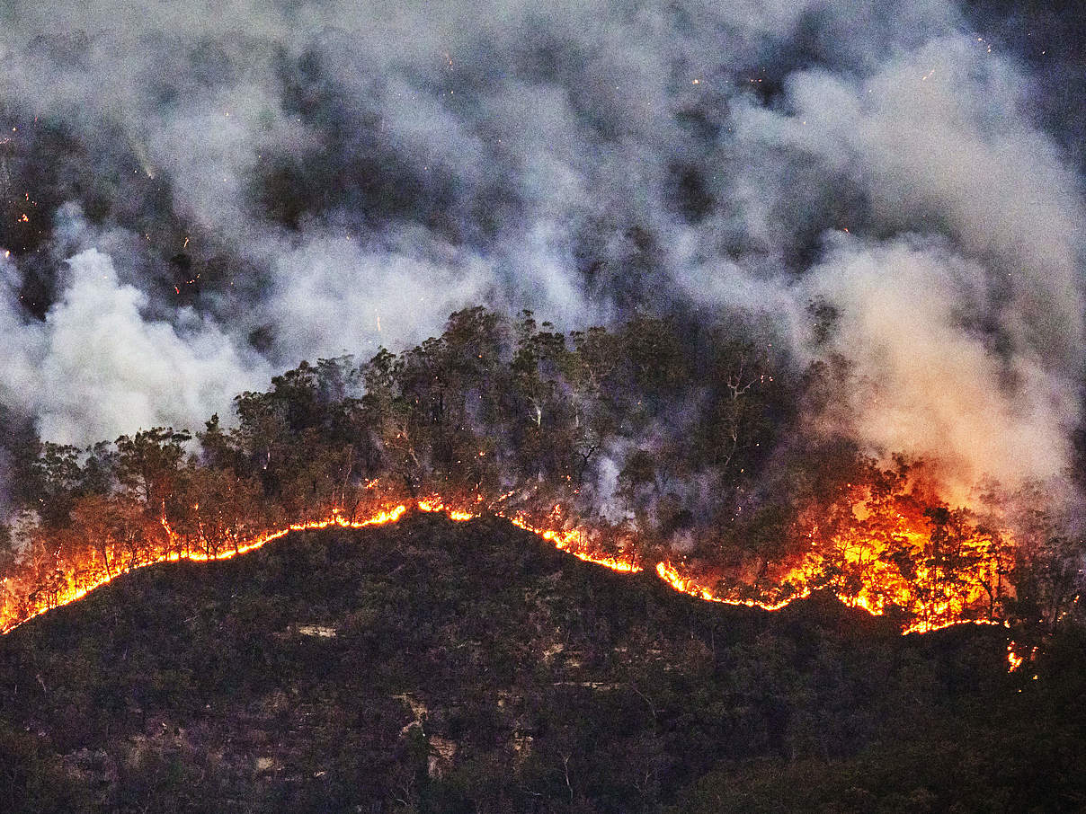 Amazonas in Flammen © Day´s Edge Productions / WWF-US