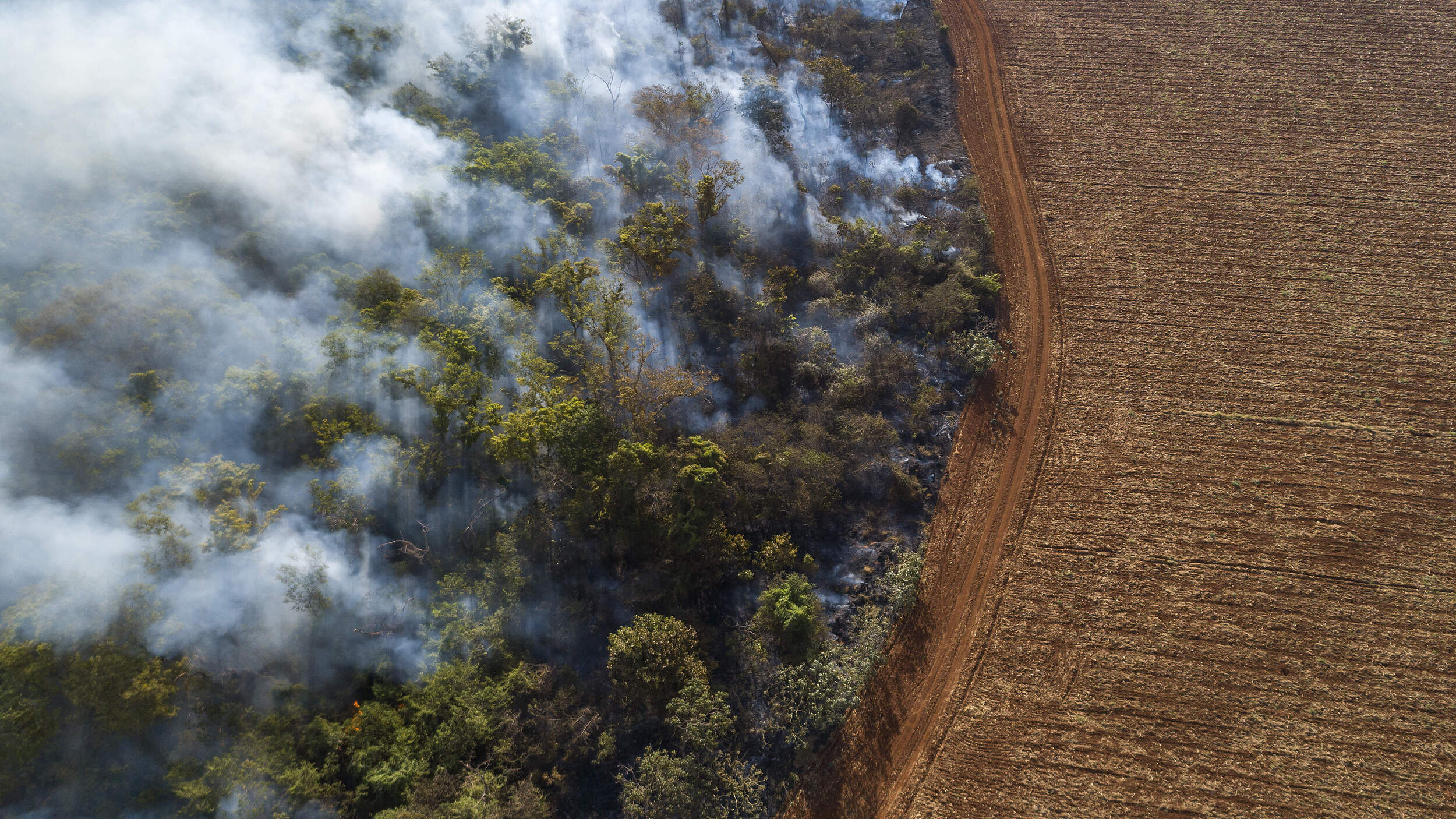 Das Land der indigenen ist von Brandrodung bedroht © Andre Dib / WWF-Brazil