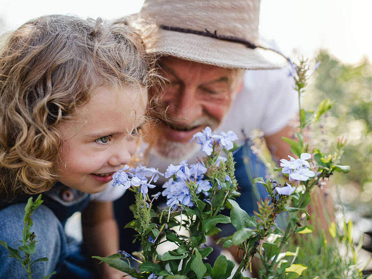 Pflanzen in der Natur sammeln © GettyImages