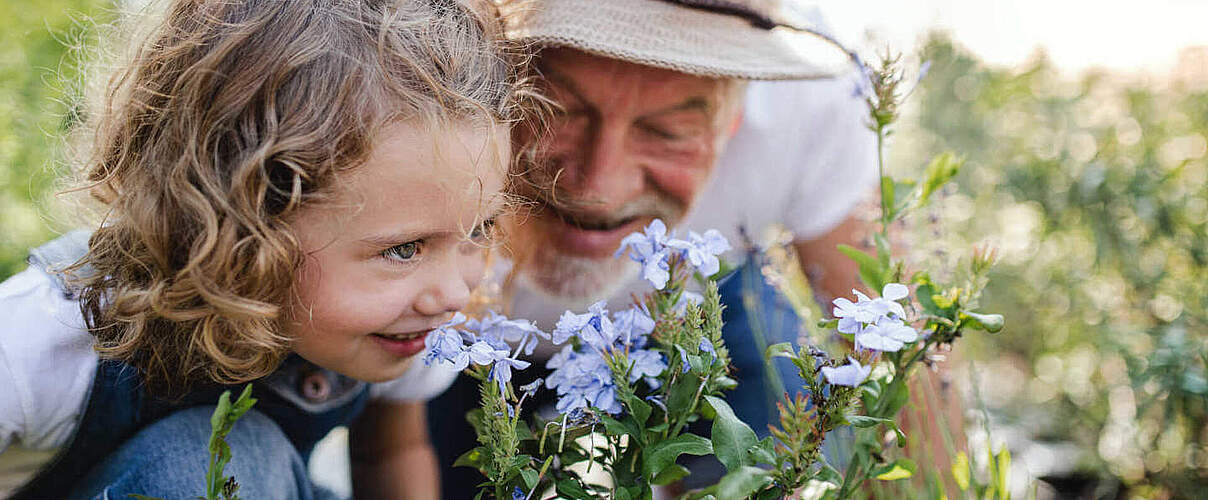 Pflanzen in der Natur sammeln © GettyImages