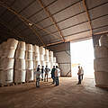 Ein Lagerhaus für Soja im Cerrado © Ana Paula Rabelo / WWF UK