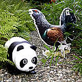 Auerhahn trifft Panda © Janna Frohnhaus / WWF