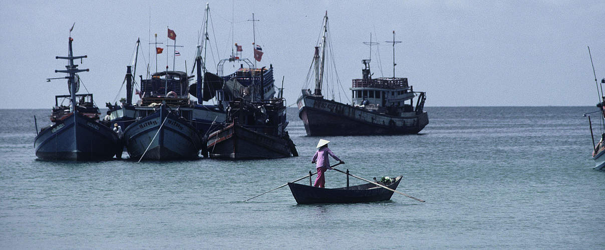 Phu Quoc (Vietnam) © Elizabeth Kemf / WWF