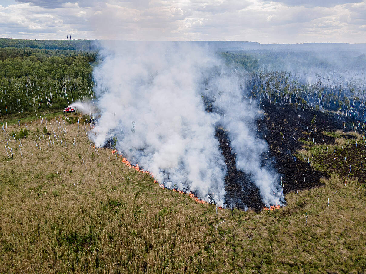 Moor und Schilf stehen in Flammen.