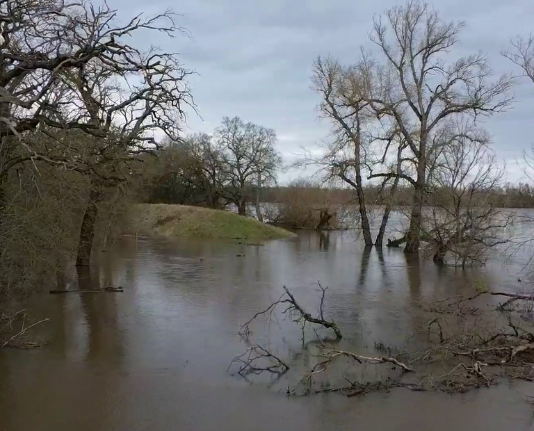Hochwasser im Biosphärenreservat Mittelelbe © Sven Guttmann