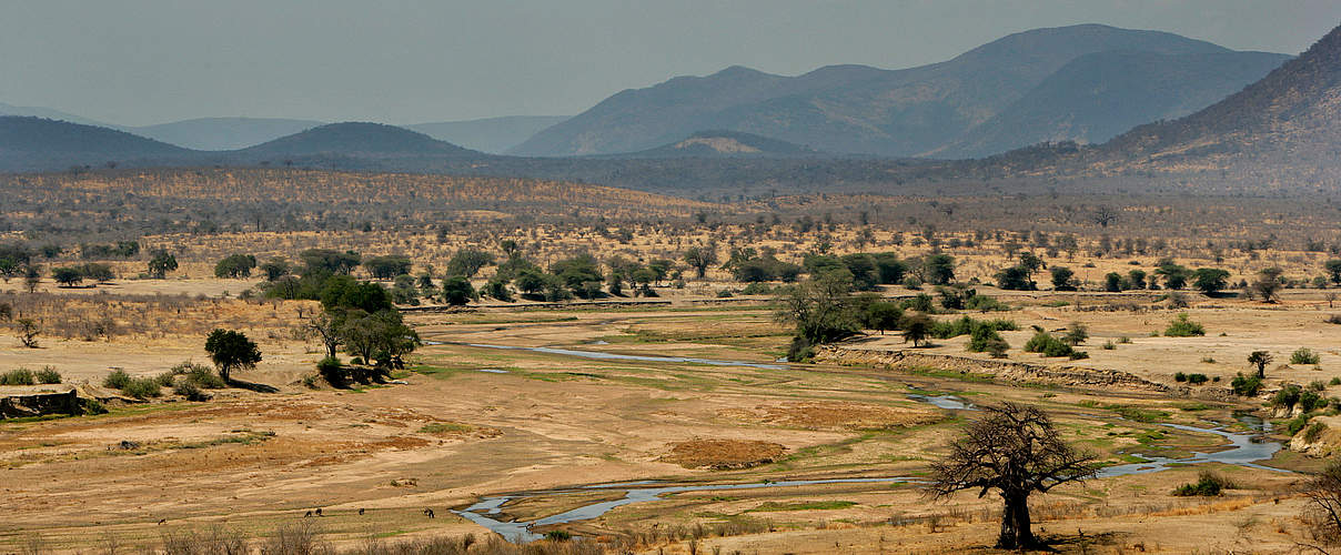 Ruaha Nationalpark in Tansania © Brent Stirton / Getty Images / WWF-UK