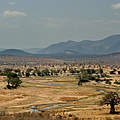Ruaha Nationalpark in Tansania © Brent Stirton / Getty Images / WWF-UK