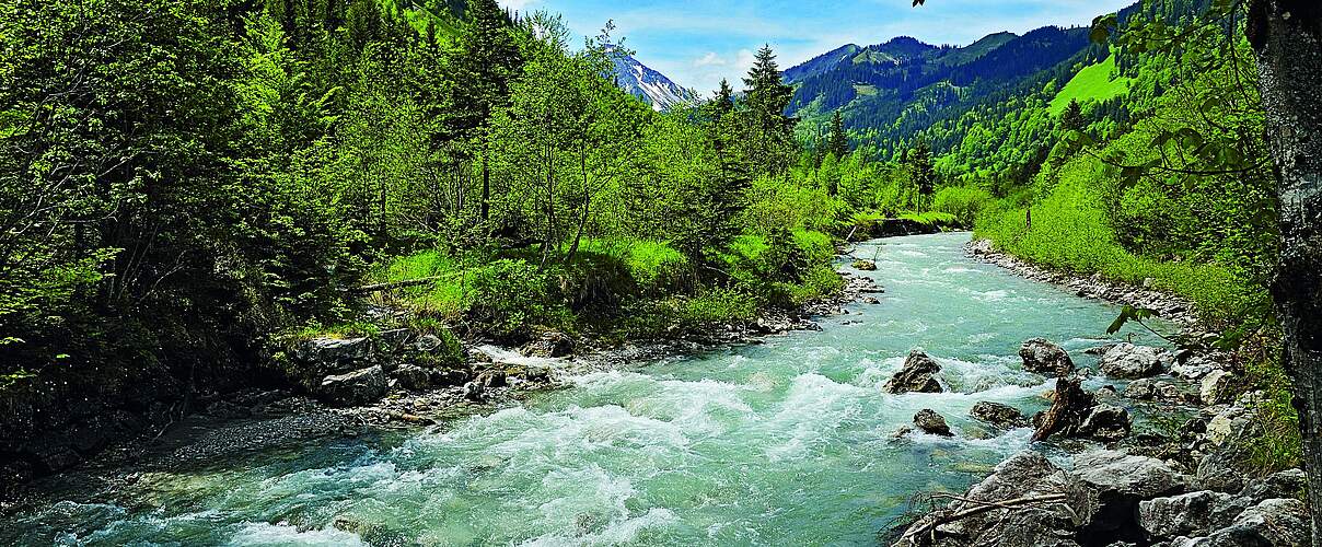Zufluss zur Ostrach in Bayern © imageBROKER / Arco Images GmbH