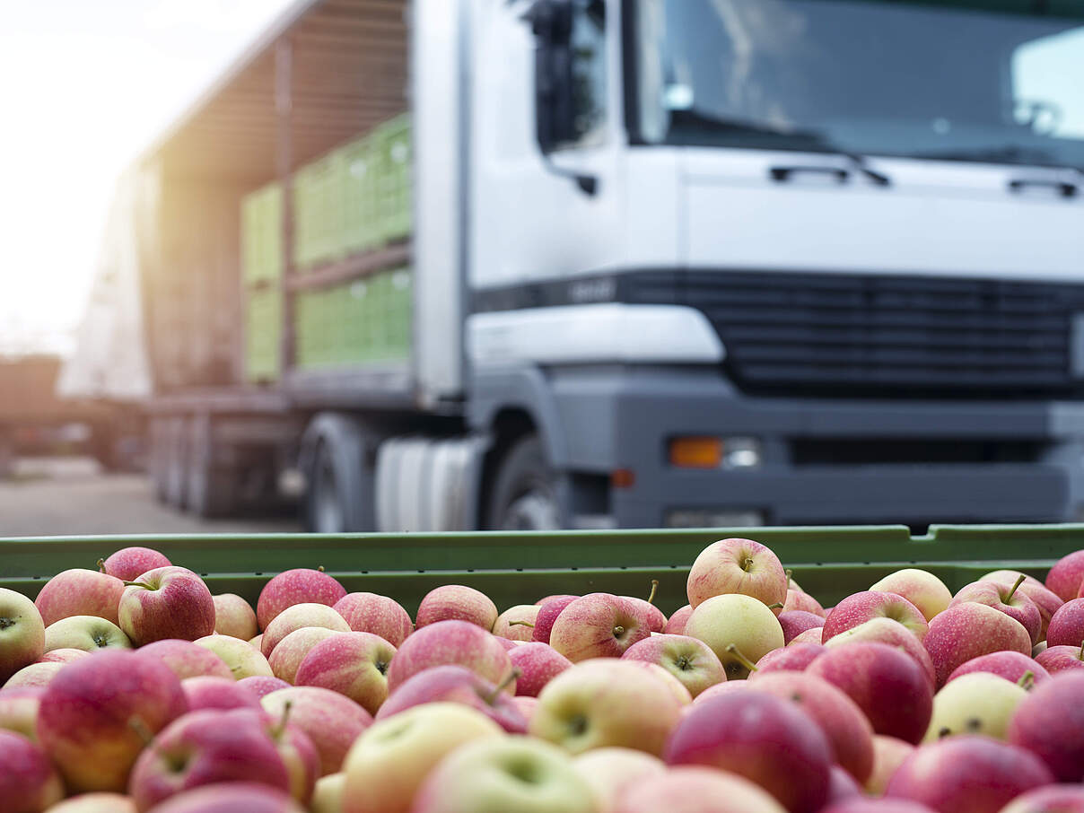 Apfeltransport per LKW 