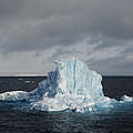 Eisberg © Canon / Brutus Östling / WWF-Sweden