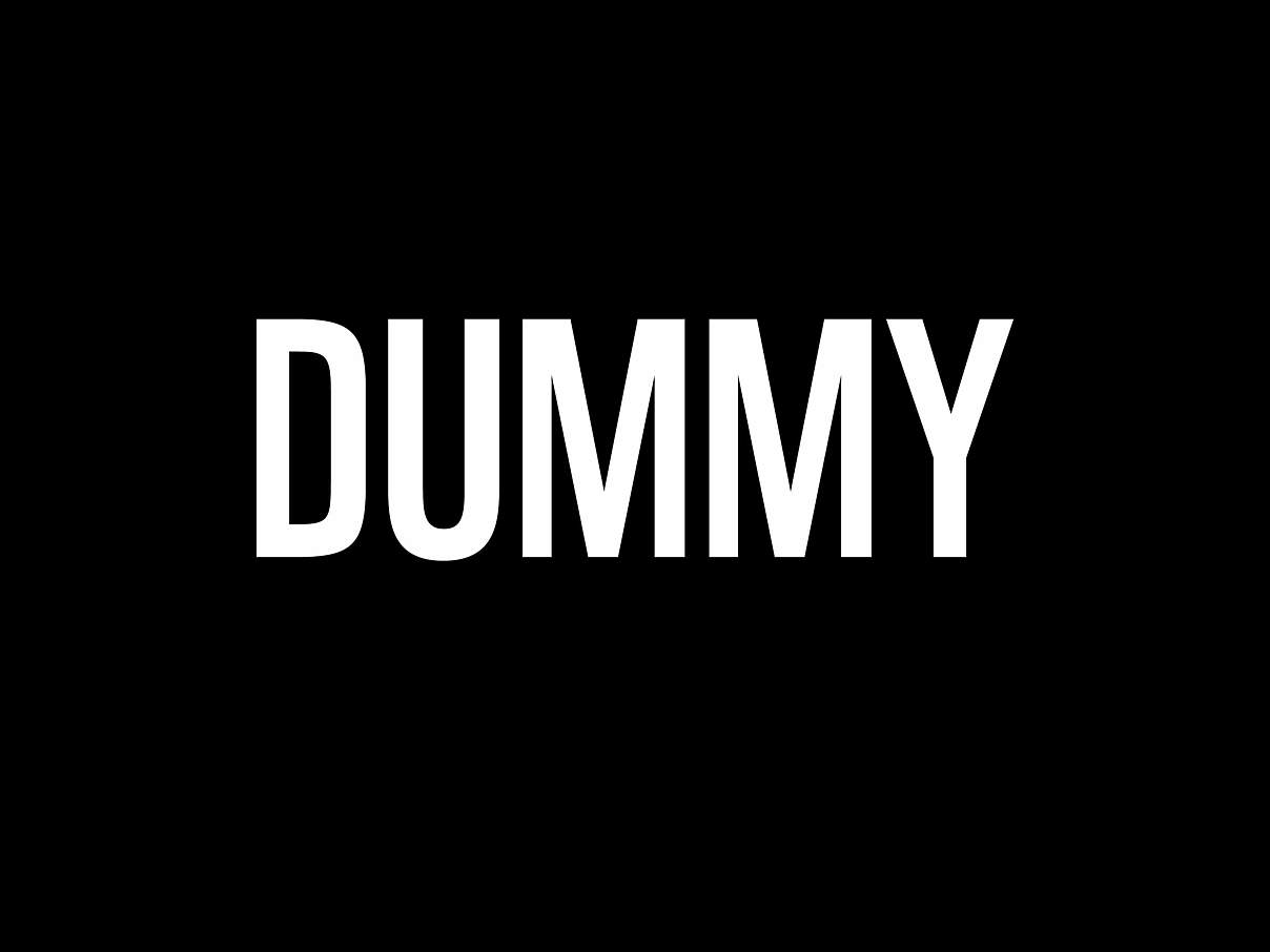 D U M M Y - hier steht die BU