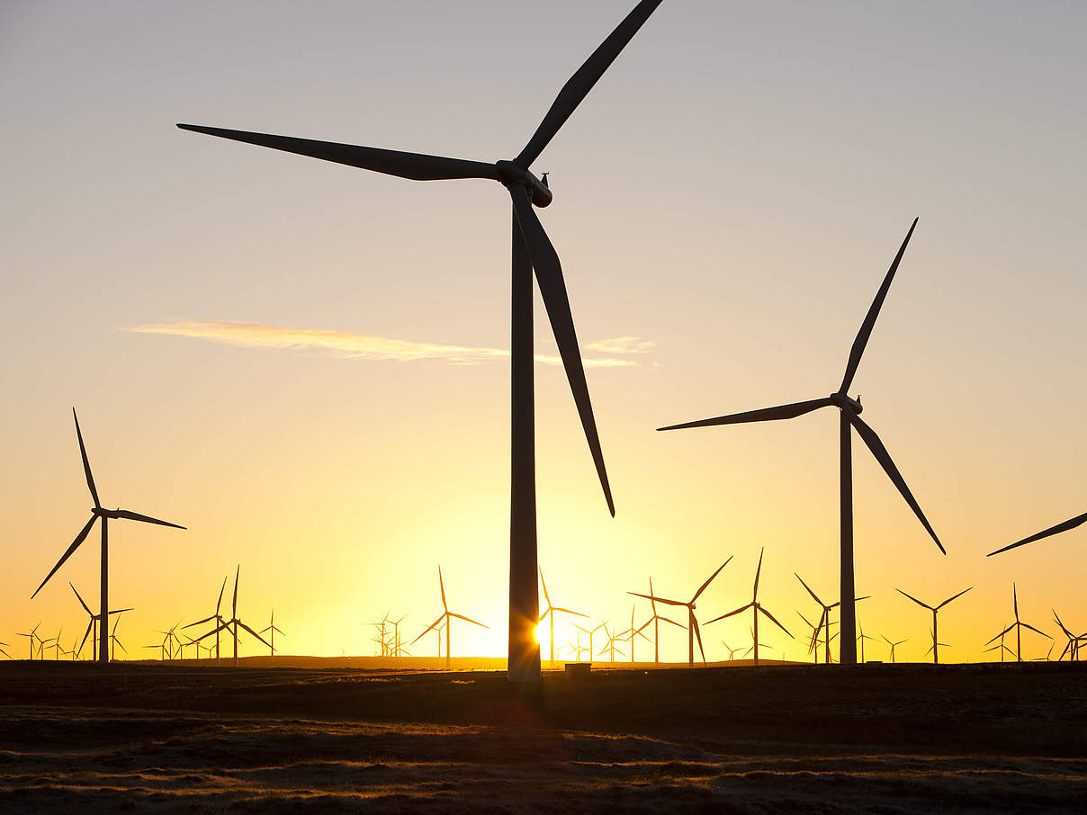 Windkraft © Global Warming Images / WWF