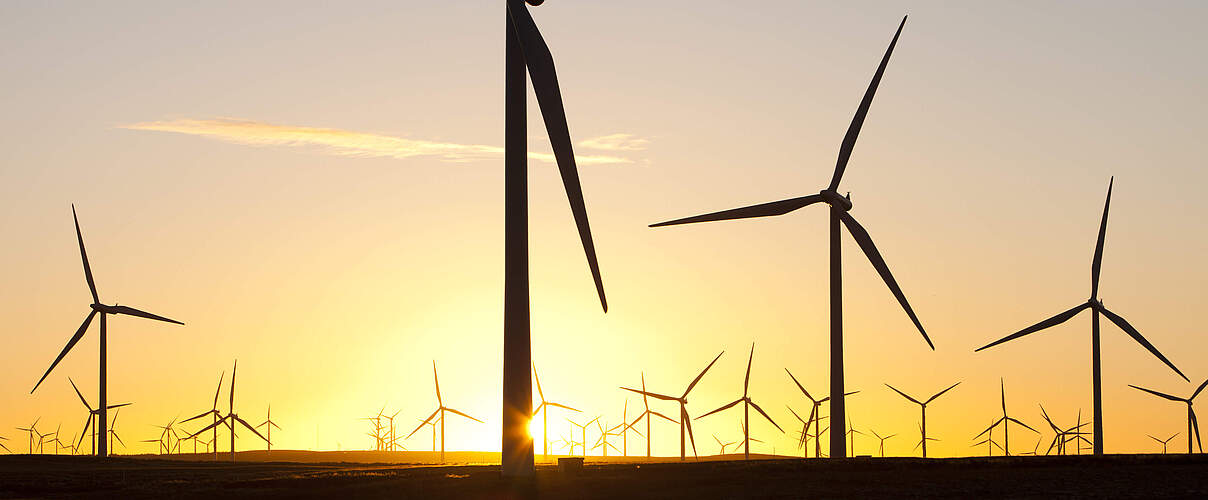 Windkraft © Global Warming Images / WWF