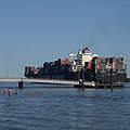 Containerschiff auf der Elbe © Britta König / WWF