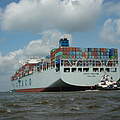 Containerschiff auf der Elbe © Anna Holl / WWF