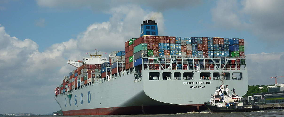 Containerschiff auf der Elbe © Anna Holl / WWF