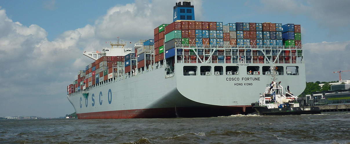 Containerschiff auf der Elbe © Anna Holl / WWF