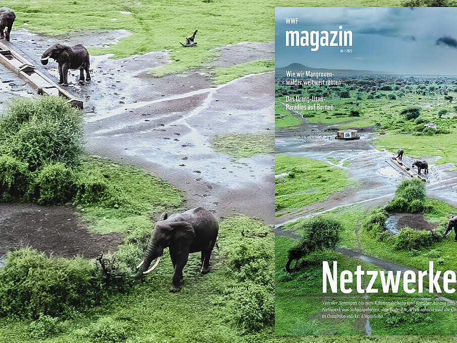 WWF Magazin 04 /2025: Unganisha.