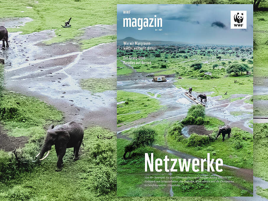 WWF Magazin 04 /2025: Unganisha.