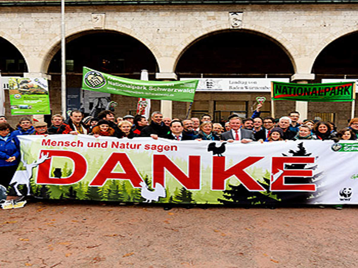 350 schwarzwald nationalpark c wwf