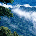 Blick in den Nationalpark Kayan Mentaran auf Borneo © Alain Compost / WWF