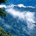 Blick in den Nationalpark Kayan Mentaran auf Borneo © Alain Compost / WWF