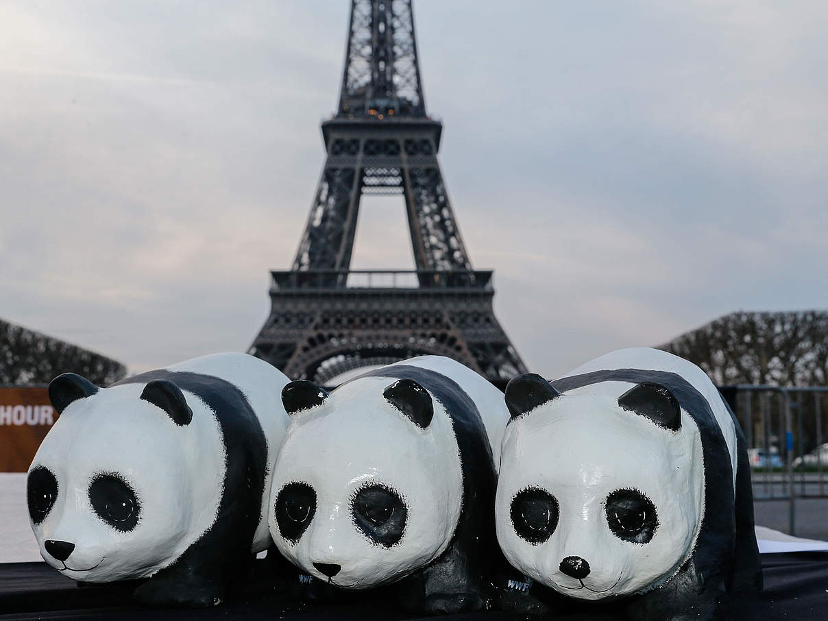 Klimastrategien für Paris © Shérif Scouri / WWF Frankreich