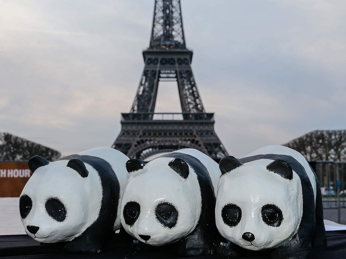 Klimastrategien für Paris © Shérif Scouri / WWF Frankreich