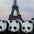 Klimastrategien für Paris © Shérif Scouri / WWF Frankreich
