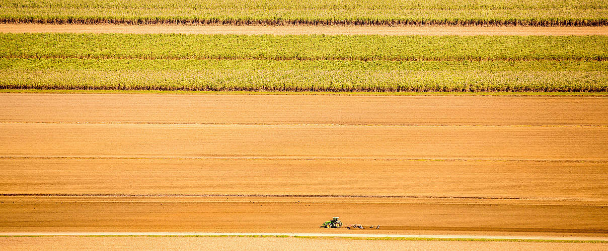 Ein Bauer bereitet das Ackerland vor © WWF / James Morgan